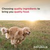 Small Breed Puppy Chicken & Rice Formula