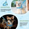 Eyein No-Pull Dog Harness with Lead, Soft Padded Reflective Adjustable