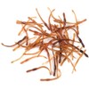 50pcs 77mm Soft Worm Fishing Lures Artificial Fishing Bait Tail