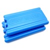 Cat Mate Replacement Ice Packs for Automatic Feeders (2 Pack,