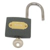 Horse Head Engraved Padlock Love Lock Wedding Anniversary Valentines Gift