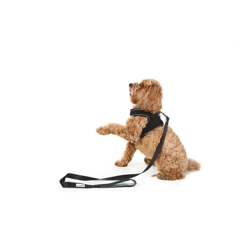 Doodlebone Padded Lead, Tangerine, 15mm