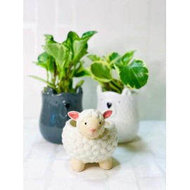 CBT Floral & Craft Animal Ceramic Pots for Plant | Round Planter (opening 3") Adorable Pot Decor for Home or Office l Indoor and Outdoor Planter for Any Event Decorations (4"x 5", White Sheep)