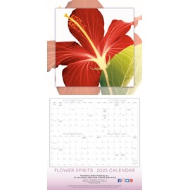 Flower Spirits 2025 Wall Calendar — Radiographs of Nature by Steven N. Meyers, 12" x 12"