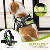 Service Dog Vest Harness and Leash Set, Animire in Training