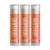 Delight Naturals Grapefruit Lip Balm - Set of Three