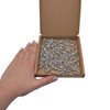 Marcopol Pack of 100 Painted Blind Rivets 3.2 x 8