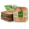 Signature Packaging - Disposable Palm Leaf Plates - Sturdy, Medium