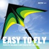 Green Large Delta Kites Flying Toys for Adults Easy to