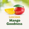 DEL MONTE Diced Mango FRUIT CUP Snacks in 100% Fruit