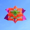 Hengda Kite-New Version 42 Inch So Beautiful 3D Lotus Flower