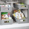 2-Pack Under Sink Organizers And Storage,Large Capacity 2-Tier Pull-Out Cabinet