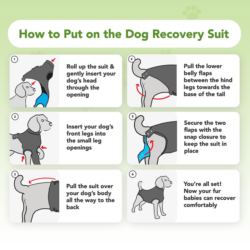 Suitical Recovery Suit Dog, Medium Plus, Black
