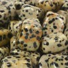 Justinstones 100 Grams Small Dalmatian Jasper Tumbled Stone Specimen Collection