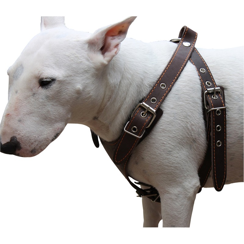 Dogs My Love Brown Genuine Leather Dog Harness, Medium. 25"-30"