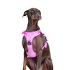Cutesy Pet Adjustable Dog Harness | Pink Polka Dots (Medium)