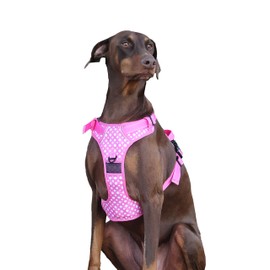 Cutesy Pet Adjustable Dog Harness | Pink Polka Dots (Medium)