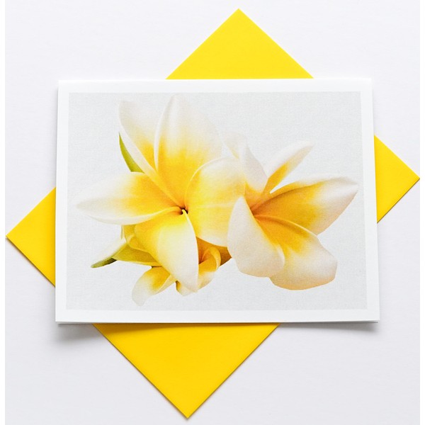 Sunshine Expressions - Blooming Flower Photography Smooth Note Cards 16 w/18 Colored Envelopes, Boxed Set (4.25"x 5.50") Blank Inside - Made in USA