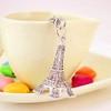 Reizteko Fashion Lovely decoration 3D souvenir Purse Charm Keychain in
