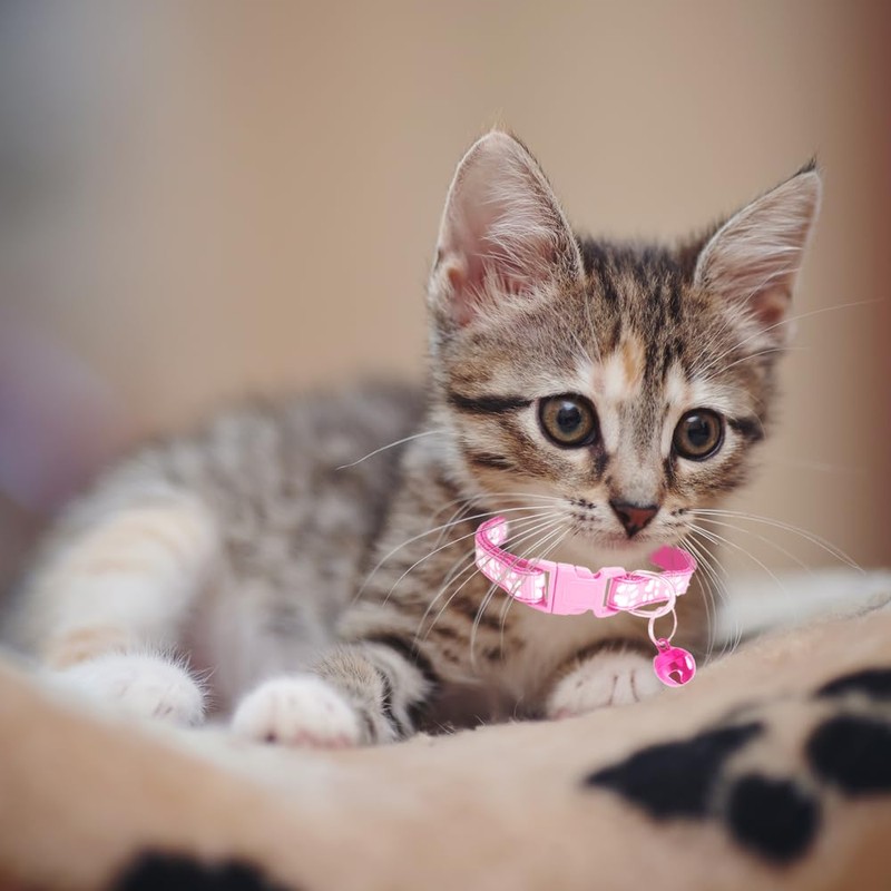 MJIYA Cat Collar with Bell, Breakaway Grid Collar with Plastic