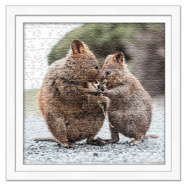 Poster Palooza 20x20 Jigsaw Puzzle Frame Kit - Kit Includes Puzzle Glue Sheets, White Wood Puzzle Frame with White Mat, UV Acrylic, Backing, Hanging Hardware