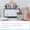 Brooklyn Fragrance Co Expressive Scent Reed Diffuser: Long-Lasting Home Fragrance,