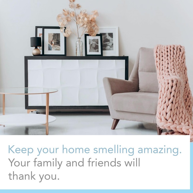 Brooklyn Fragrance Co Expressive Scent Reed Diffuser: Long-Lasting Home Fragrance,