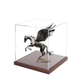 Clear Acrylic Display Box Collectibles Display Case Organizing Toys Case Storage Box with Solid Built-in Wooden Base(7.9x7.9x7.9 inch; 20x20x20 cm)