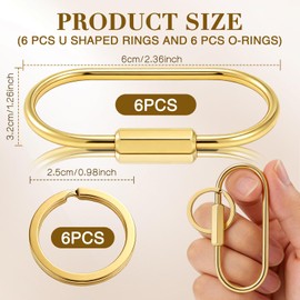 6Pcs Brass Gold Carabiner Oval Key Ring, Anti-Theft Screw Lock Keychain Clip Organizer with 6 O-Rings Keys Chain for Purse Bag Charm Handbags Backpack