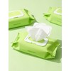 Papa Recipe Real Centella Cica Watery Cleansing Tissue (100 sheets)