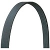 DAYCO Poly V-Ribbed Belt