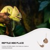 Coconut Hide for Reptiles with Ladder, Crested Gecko Tank Hide