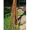 Walking Stick with "USA" Carved in Hiking Staff up to