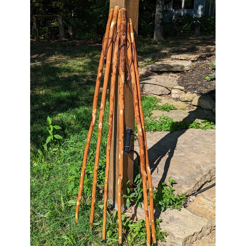 Walking Stick with "USA" Carved in Hiking Staff up to