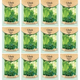 Set of 12 Collards Vegetable Seed Packs - Create a Deluxe Garden - All Seeds are Heirloom - 100% Non-GMO (Collards)
