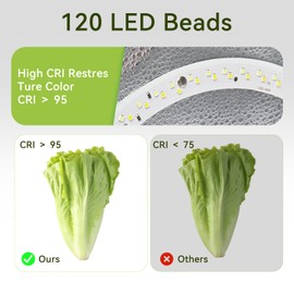 ZapPort Photo Light Box Photography | 12"x12" Photo Studio Lightbox with 120 LED Lights & 6 Backdrops for Jewelry and Small Items Product Photography