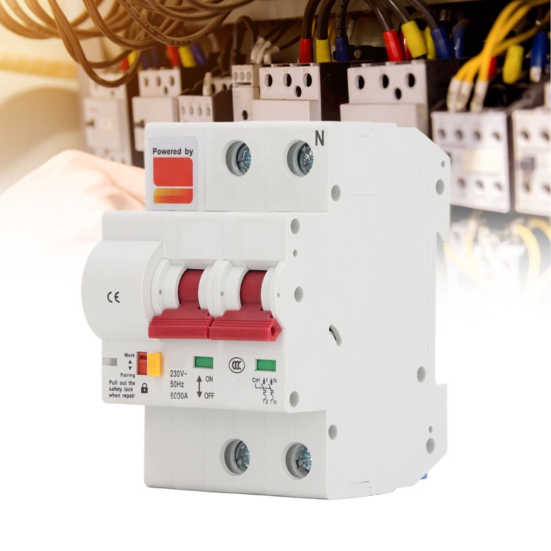 WiFi Smart Circuit Breaker AC 2 Poles Switch Automatic Reclosing