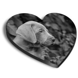 1 x Heart MDF Magnets - Weimaraner Puppy Dog Cute Pet Animal 43753