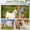 Misdary 1 Pcs Goat Show Collar Adjustable Iron Goat Chain