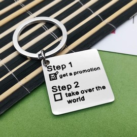 Funny New Job Gift Coworker Leaving Gift Job Promotion Gift Keyring Going Away Gifts Inspirational Gift Keyring for Colleague Boss Goodbye Friendship Keepsake Christmas Birthday Gift Office Gift