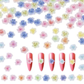 BOXOB 100pcs 3D Flowers for Nails, Colorful Resin Flower Nail Charms Cute Floral Nail Gems Charms DIY Accessories for Nails Art Designs Decorations