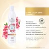 Biotera Ultra Color Care Shampoo | Prolong Vivid Color-Treated Hair