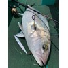 Nature Boys SS1295-02K Swim Rider SHORT Lure, Pink Holo, 10.4