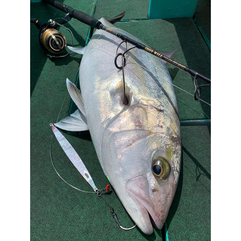 Nature Boys SS1295-02K Swim Rider SHORT Lure, Pink Holo, 10.4