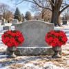 20 Pcs Christmas Poinsettia Flowers Artificial Pine Stems with Pinecone