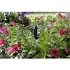 Mister Landscaper Patio and Potted Plant Easy Watering Kit MLK-PWK