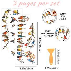 WEBEEDY 3 Pcs Colorful Bird Furniture Transfer Stickers,11.8x5.9'' Peel and Stick Wallpaper Murals with Sticker Scraper, DIY Timeless Designs Window Wall Stickers Decor for Living Room Home Decor