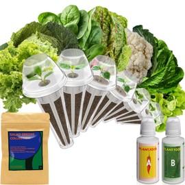 Salad Greens Seed Pod Kit for AeroGarden Hydroponics Growing System, Indoor Home Garden with American Fast/Paris Island/Buttercrunch Lettuce, Swiss Chard, Spinach, Cauliflower and Wild Cabbage, 7 Pods