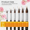 6 PCS Watercolor Brushes Professional, Extended Needle Point Brushes with