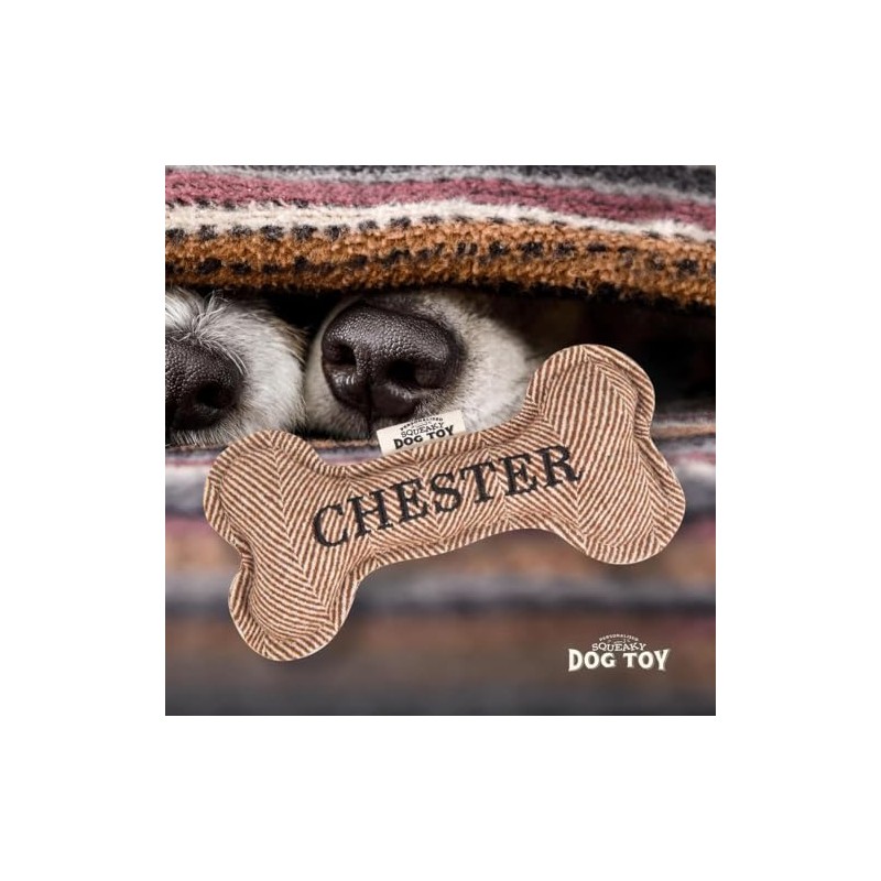 History & Heraldry Chester Squeaky Dog Toy